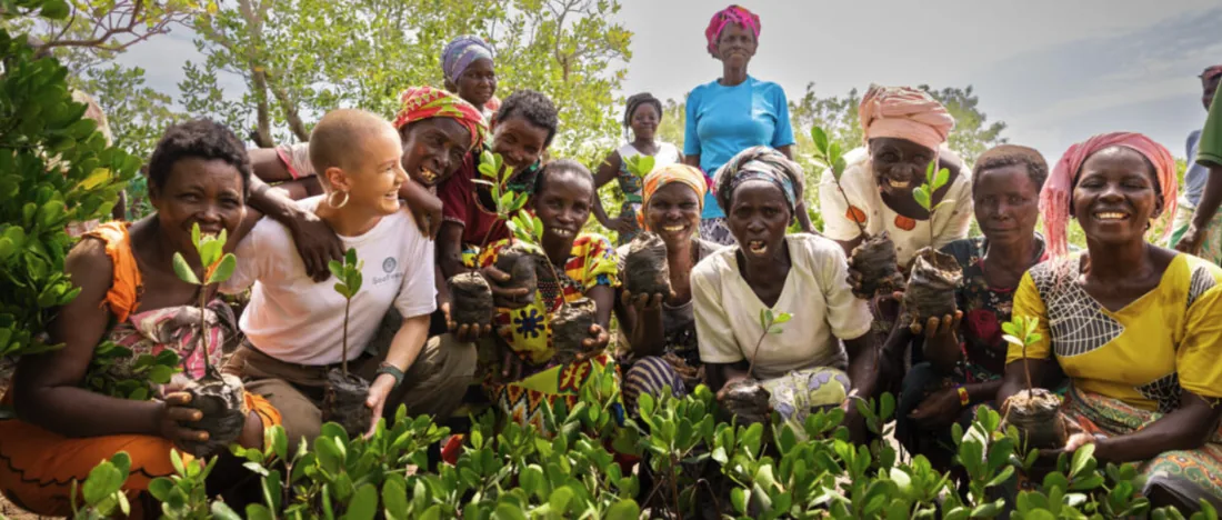 Lokale gemeenschap plant mangrovebomen met Seatrees