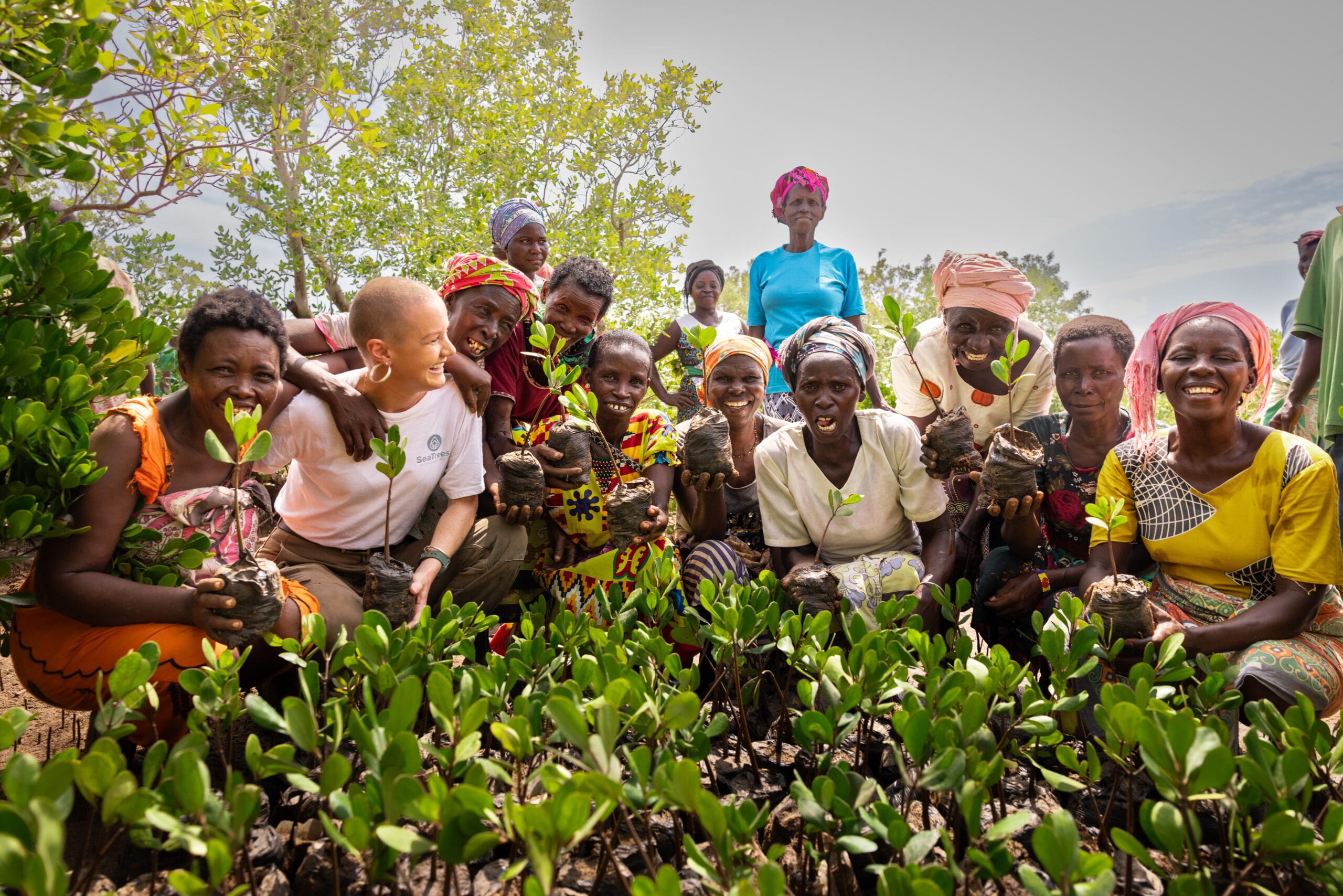Seatrees mangrove boom project co2 compensatie