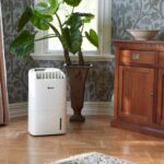 Wood’s AD20 Luchtontvochtiger met Luchtreiniger