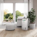 Wood’s AD30 Luchtontvochtiger met Luchtreiniger