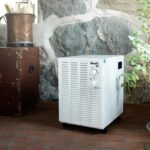 Wood’s SW22 13L Luchtontvochtiger
